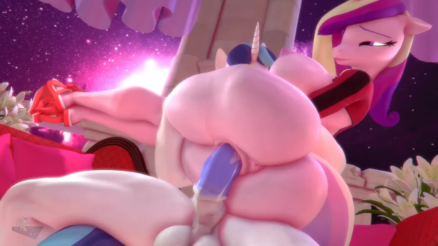 princess cadance (mlp)+shining armor (mlp)